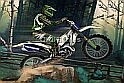 Motocross Forest Challenge
