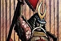 Samurai Rebellion