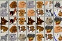 Mahjong játék, ami egyszerre állatos játék is? Hogyne, hiszen vagány kutyusok lesznek az online játék felületén.
