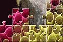Rengeteg kép közül választhatsz a puzzle játék során, így azt rakhatod ki az online játék alatt ami neked kifejezetten tetszik!