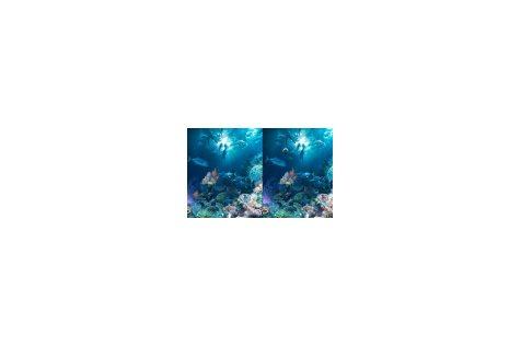 fishdom 203 fishdom 203