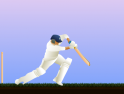 Cricket Game