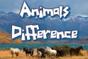 Animal Differences